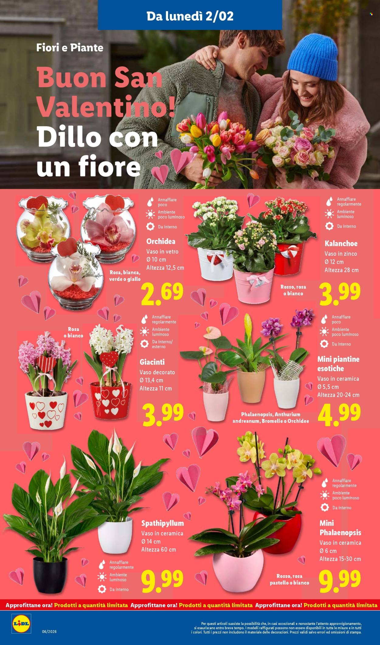 Volantino Lidl - 2/2/2026 - 8/2/2026. Pagina 28