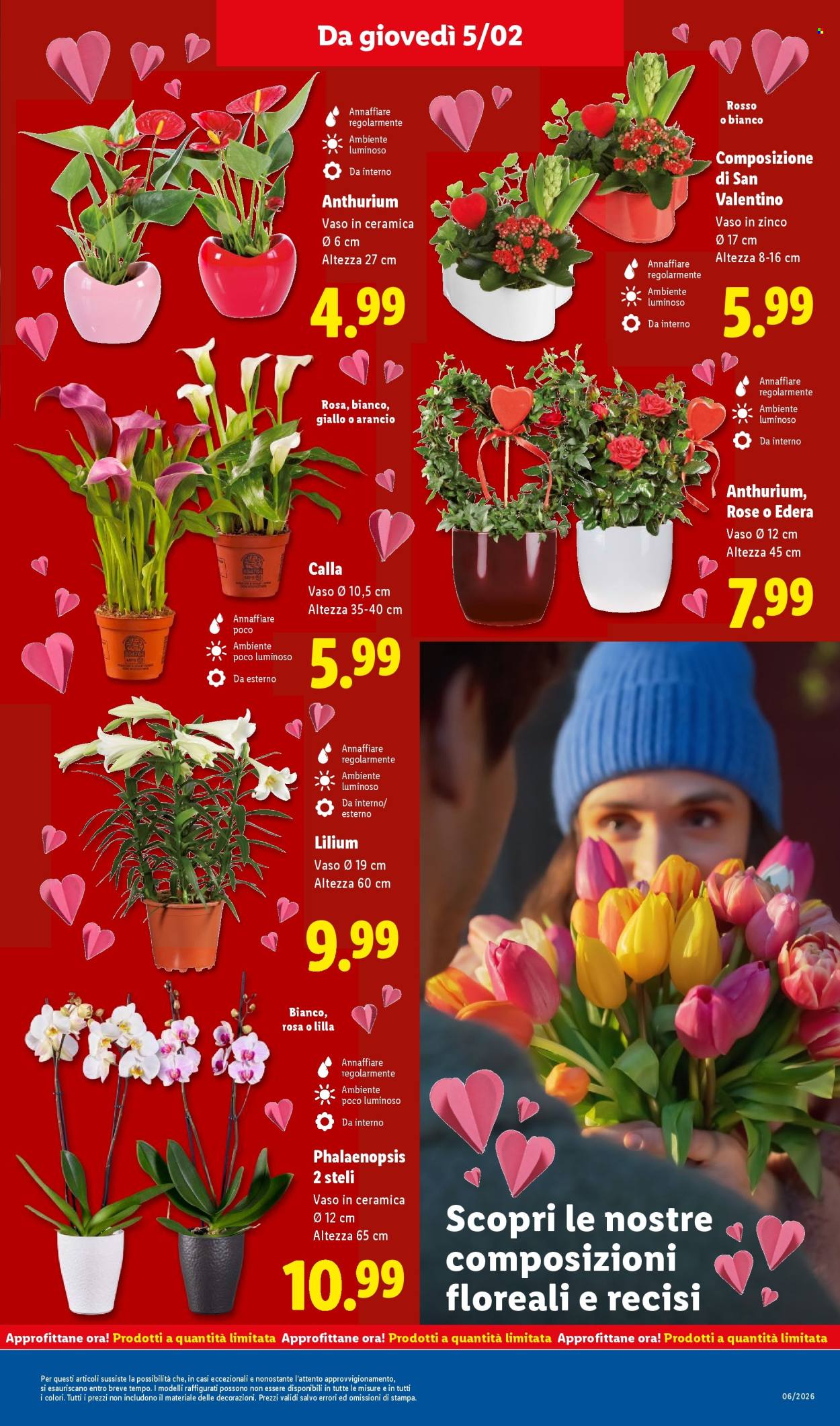 Volantino Lidl - 2/2/2026 - 8/2/2026. Pagina 29