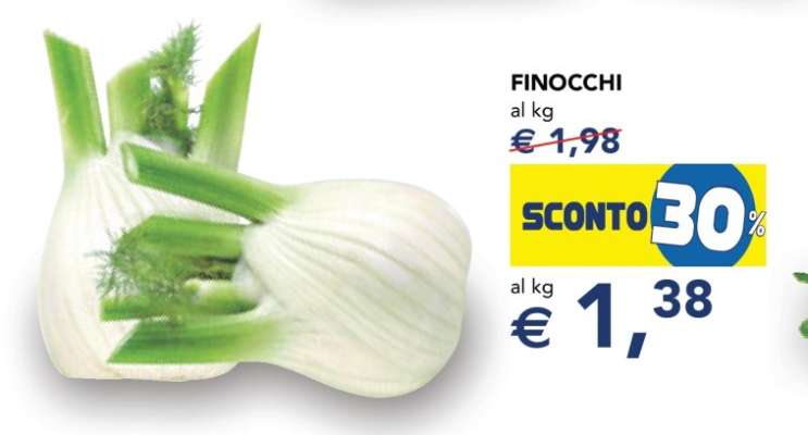 Finocchi