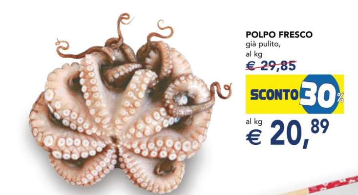 Polpo Fresco