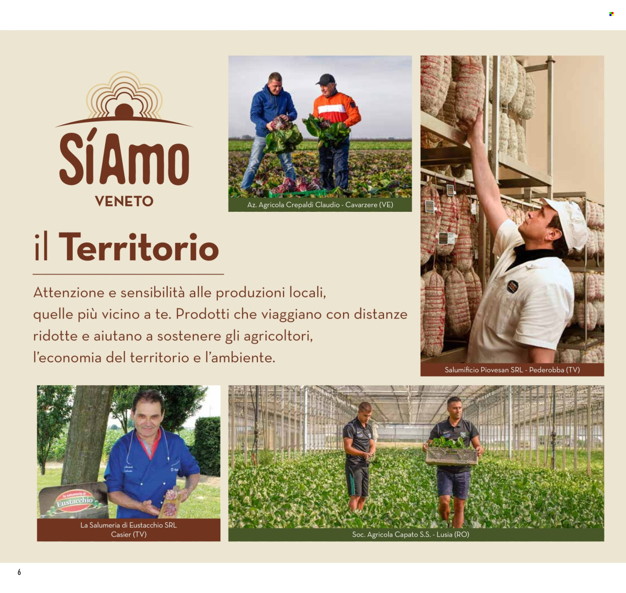 Volantino Conad - 31/1/2026 - 7/2/2026. Pagina 6