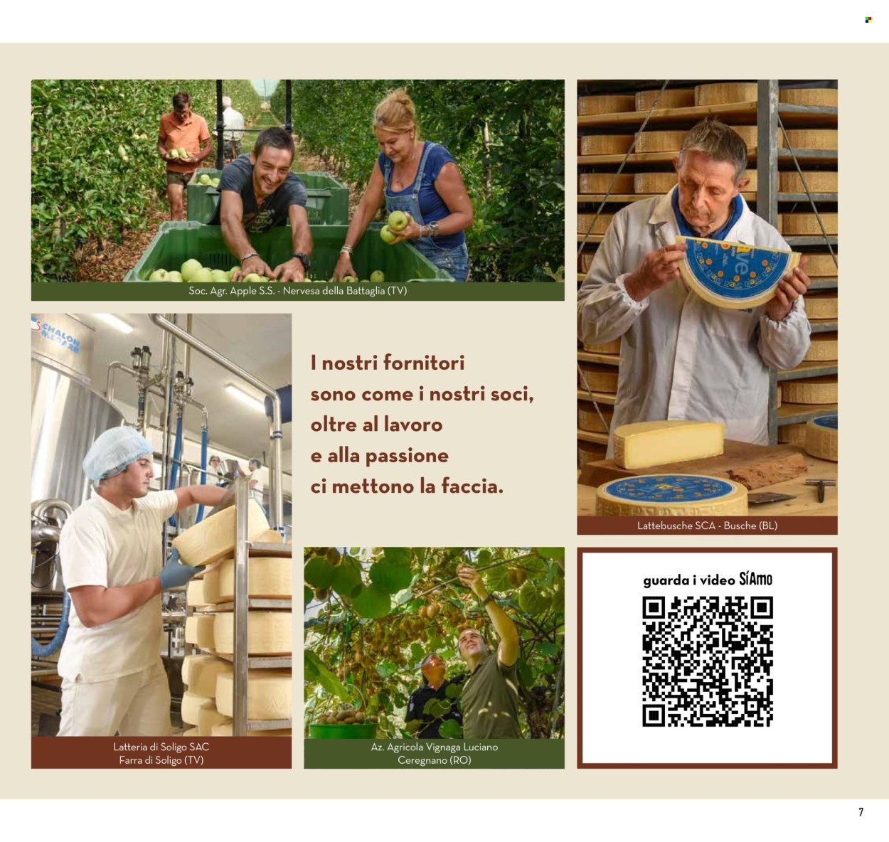 Volantino Conad - 31/1/2026 - 7/2/2026. Pagina 7