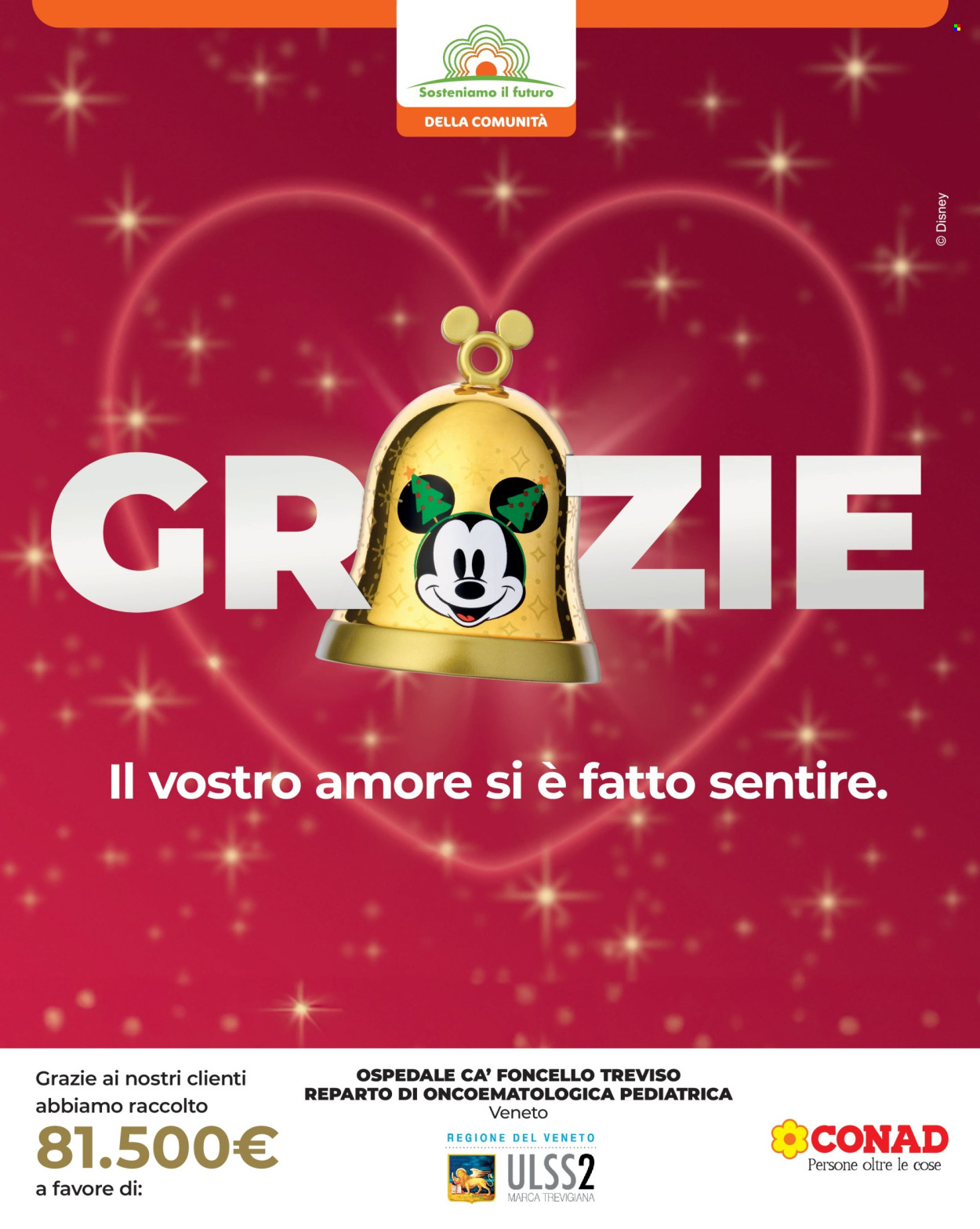 Volantino Conad City - 30/1/2026 - 5/2/2026. Pagina 13