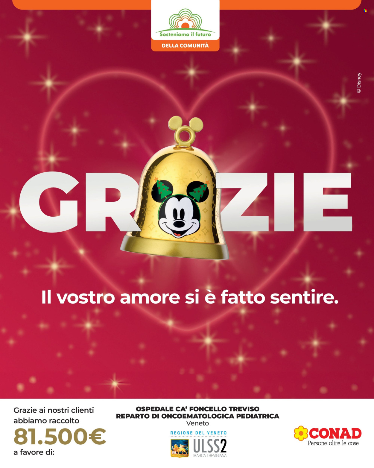 Volantino Conad City - 30/1/2026 - 5/2/2026. Pagina 13