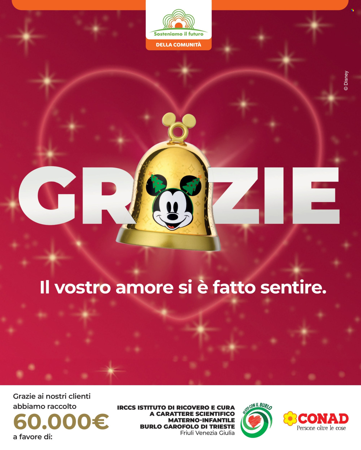 Volantino Conad City - 30/1/2026 - 5/2/2026. Pagina 13