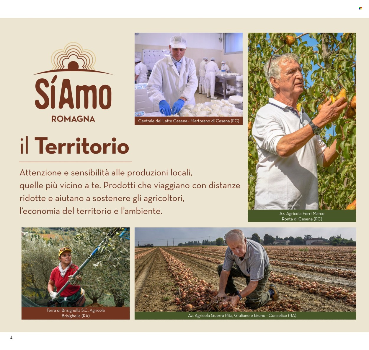 Volantino Conad - 5/2/2026 - 11/2/2026. Pagina 4