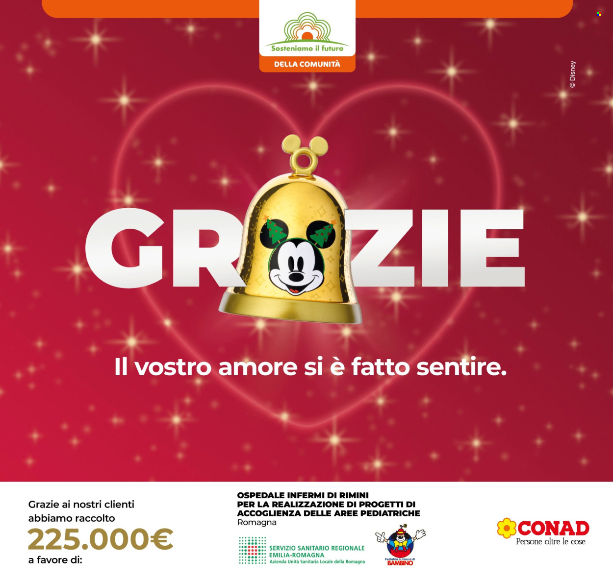 Volantino Conad - 5/2/2026 - 11/2/2026. Pagina 13