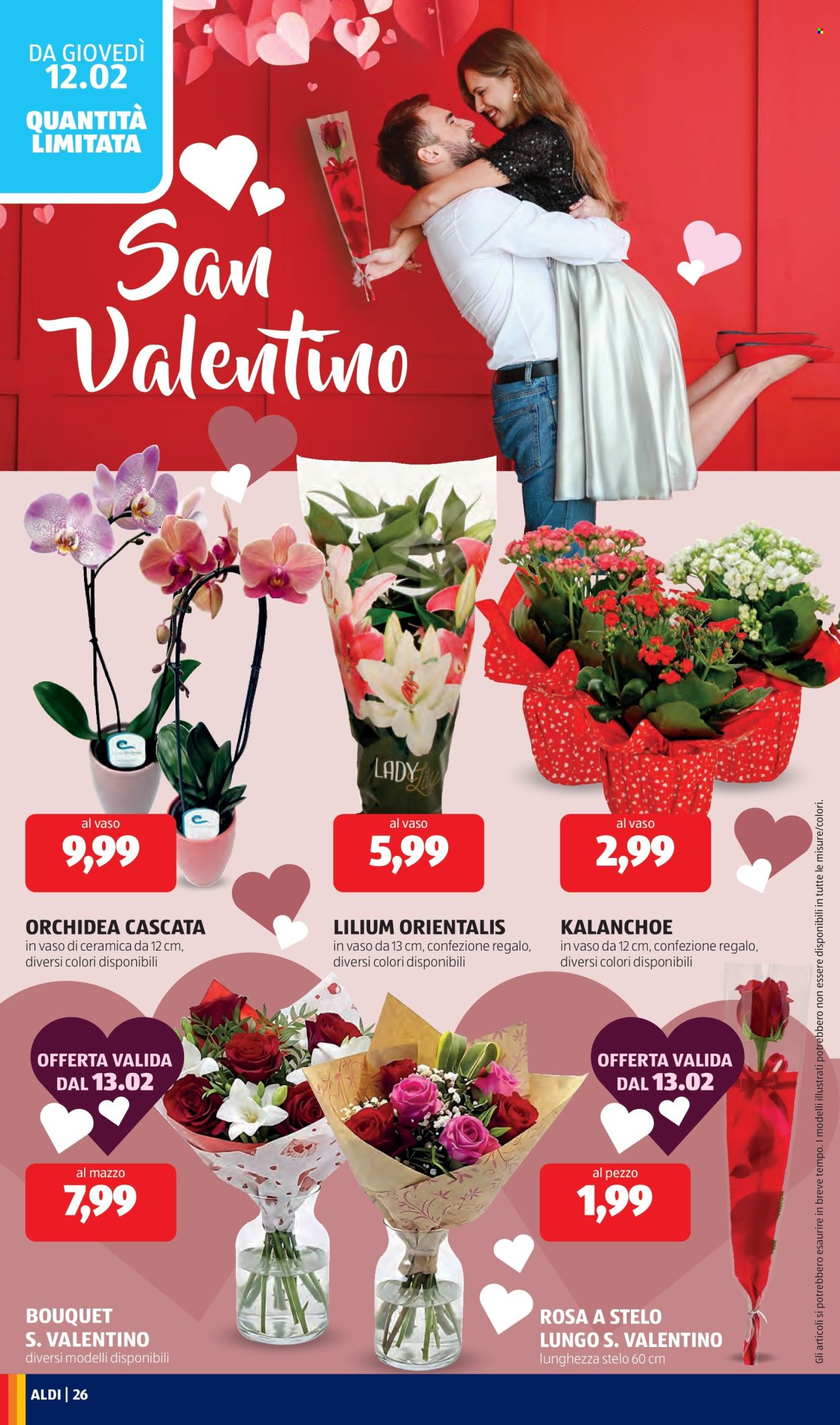 Volantino Aldi - 9/2/2026 - 15/2/2026. Pagina 26