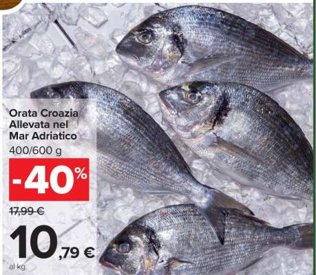 Orata Croazia Allevata nel Mar Adriatico