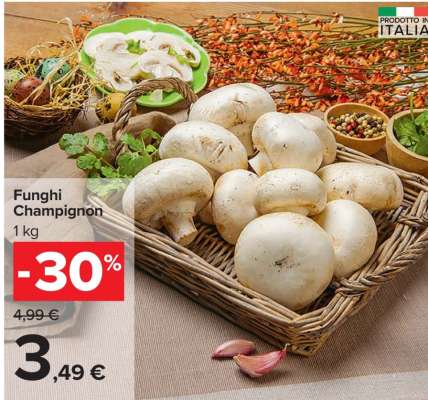 Funghi Champignon