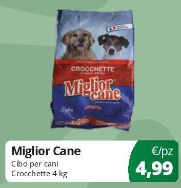 Miglior Cane