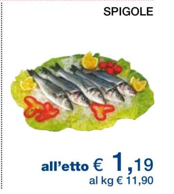 Spigole
