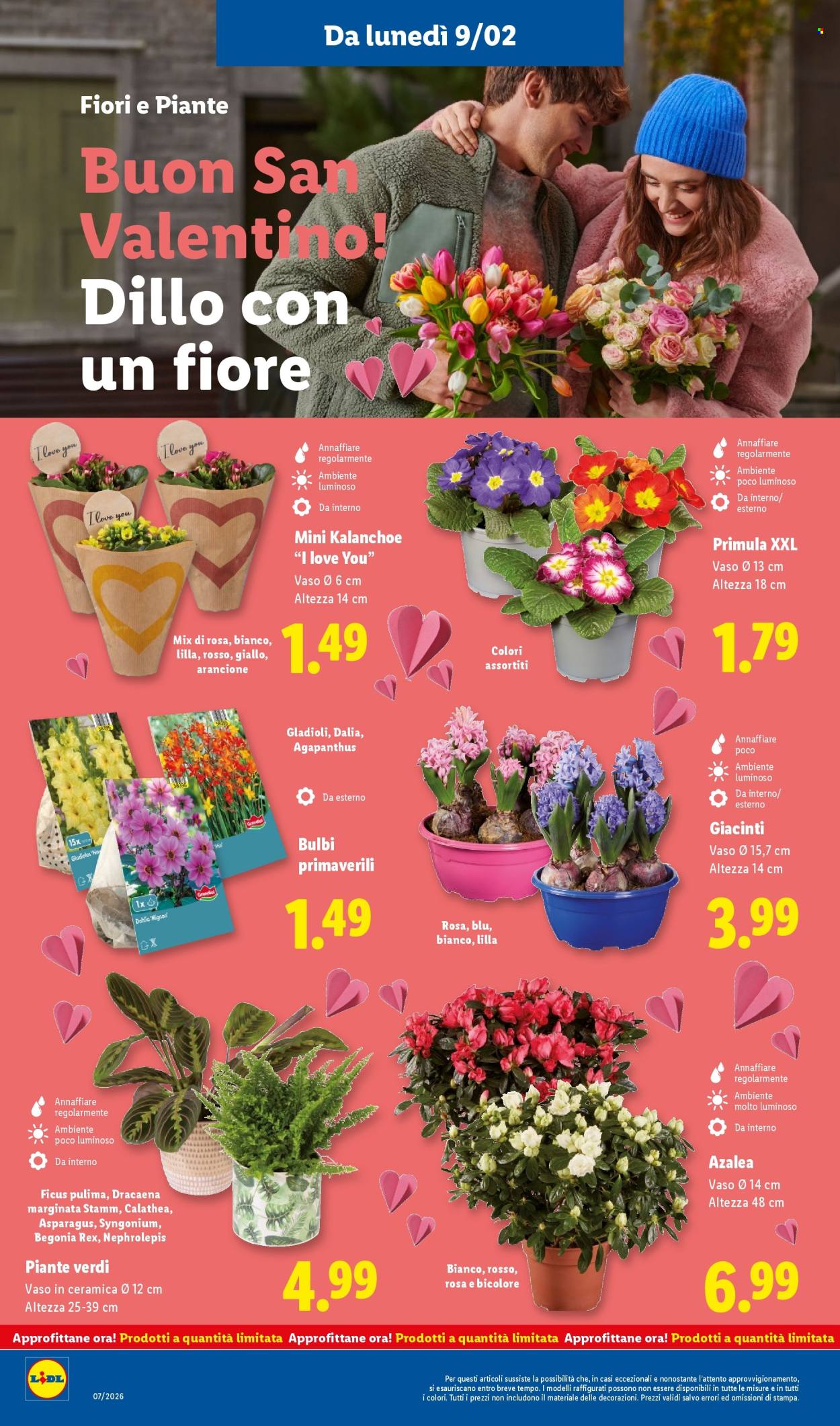 Volantino Lidl - 9/2/2026 - 15/2/2026. Pagina 36