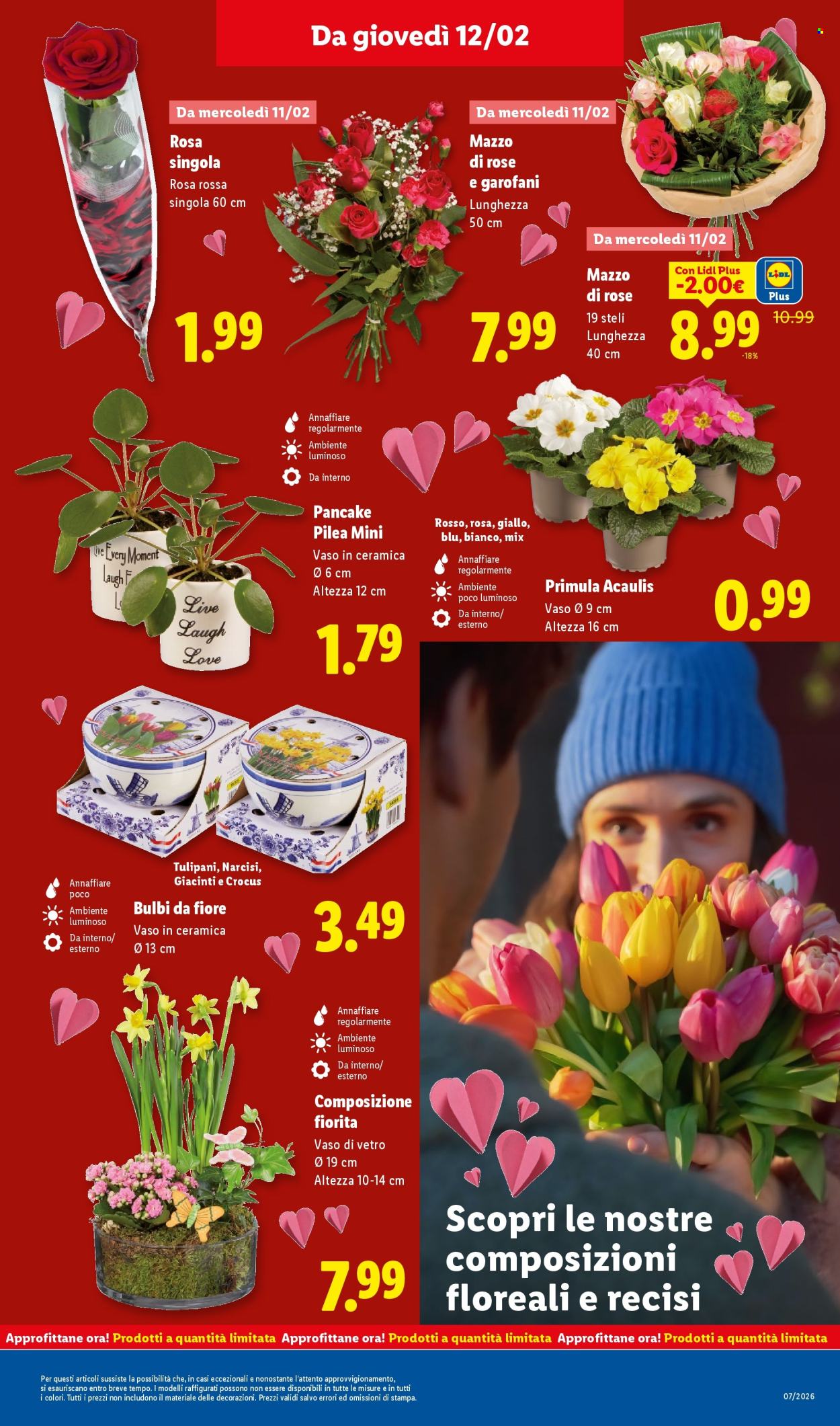 Volantino Lidl - 9/2/2026 - 15/2/2026. Pagina 37