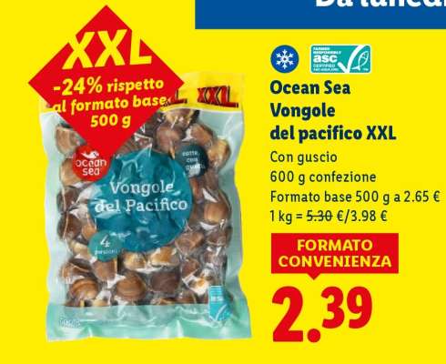Ocean Sea Vongole del pacifico XXL