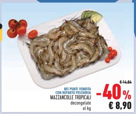 MAZZANCOLLE TROPICALI
