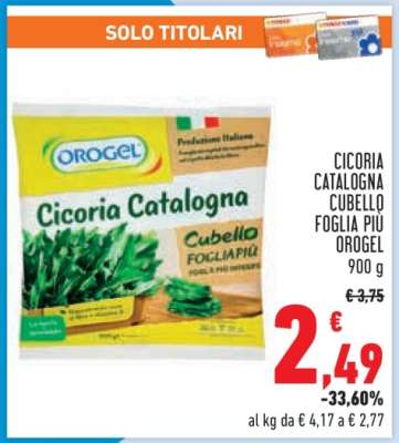 Cicoria Catalogna Cubello Foglia Più Orogel