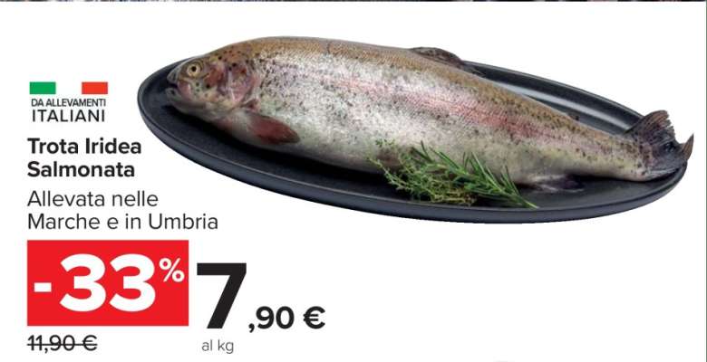 Trota Iridea Salmonata
