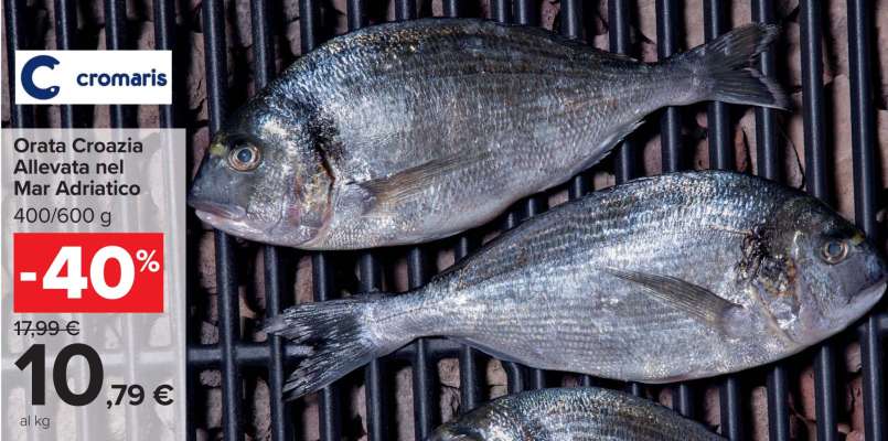 Orata Croazia Allevata nel Mar Adriatico