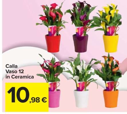 Calla Vaso 12 in Ceramica