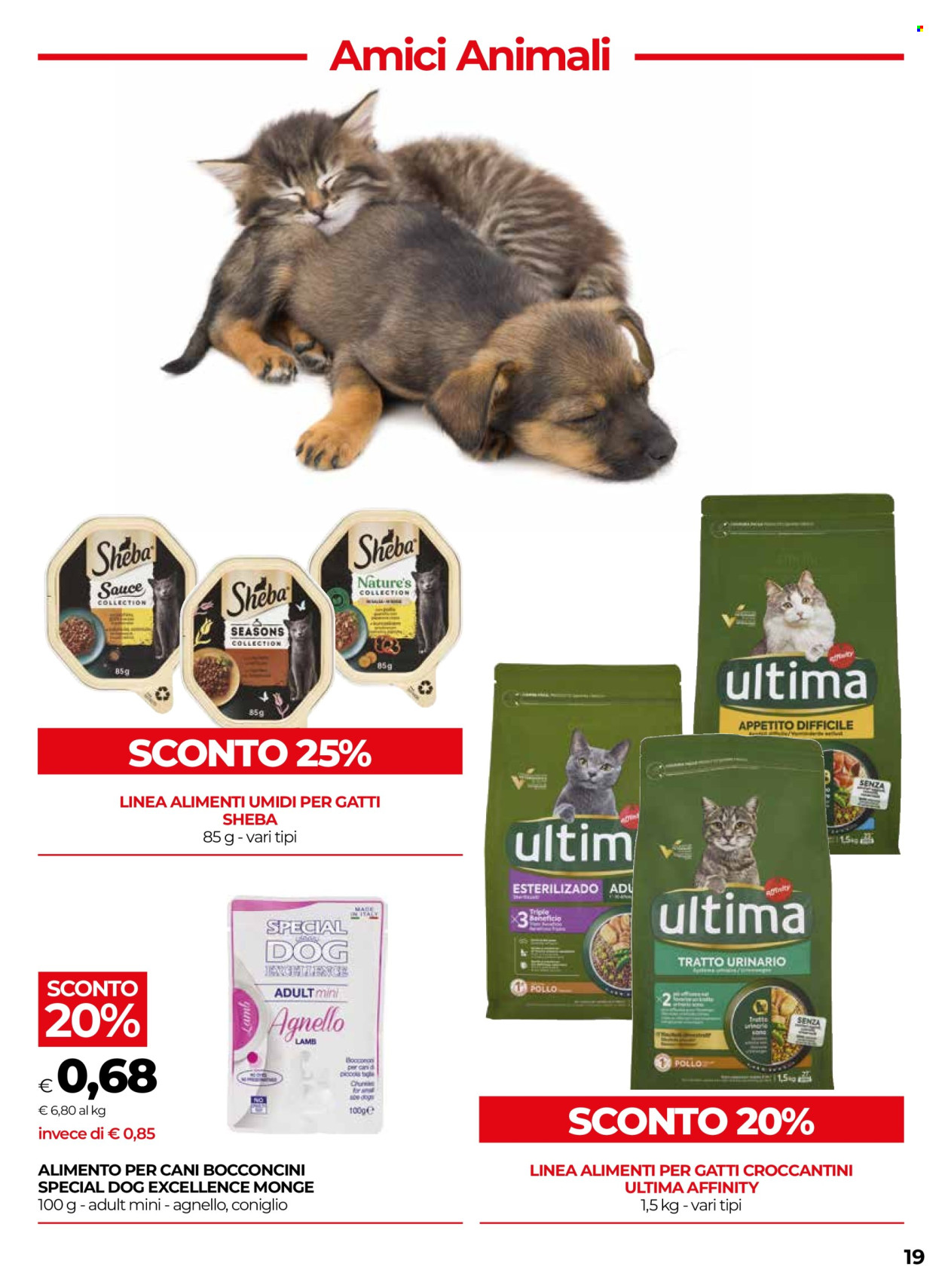 Volantino Coop - 5/2/2026 - 18/2/2026. Pagina 19