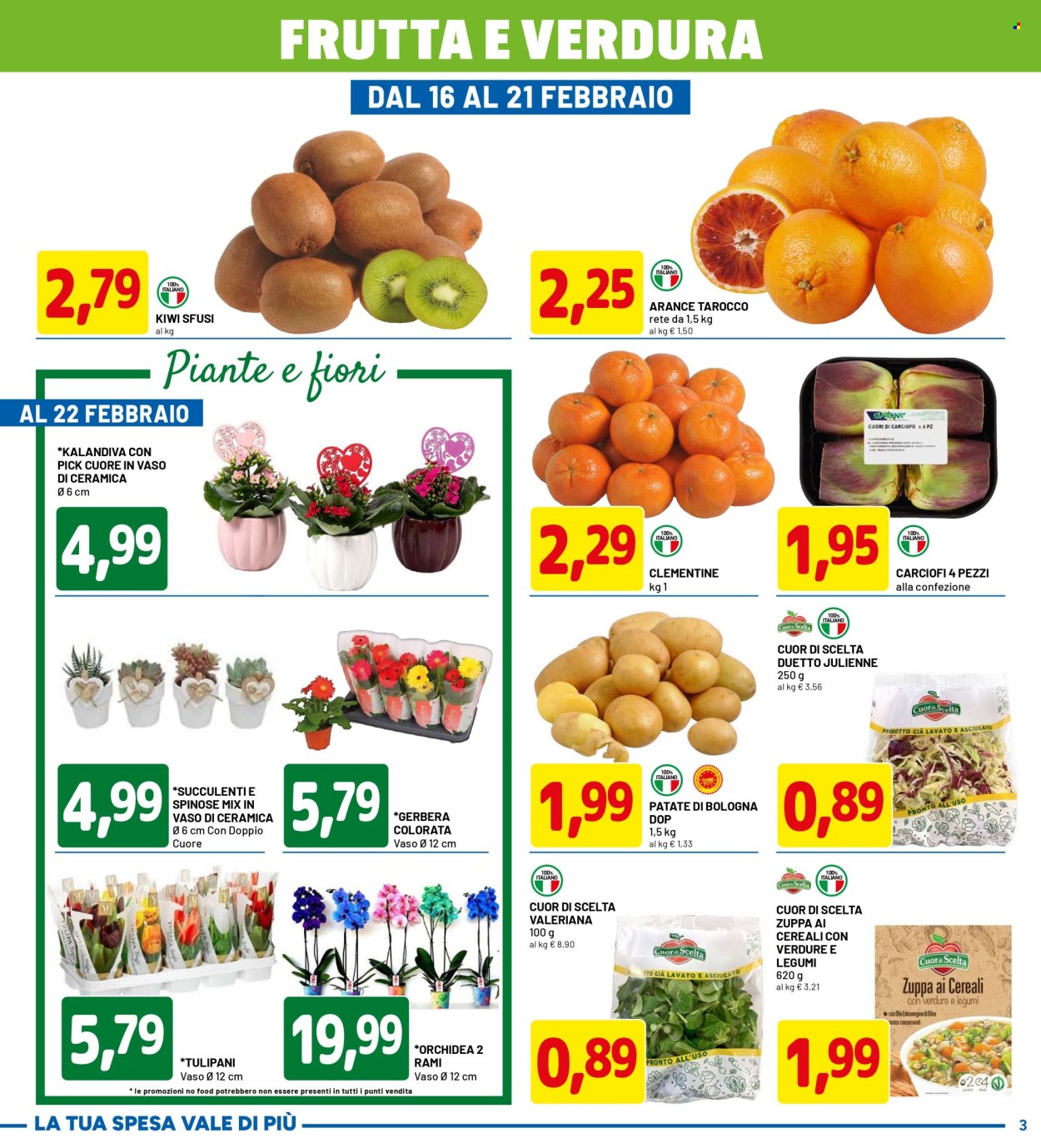 Volantino Dpiù - 9/2/2026 - 22/2/2026. Pagina 3