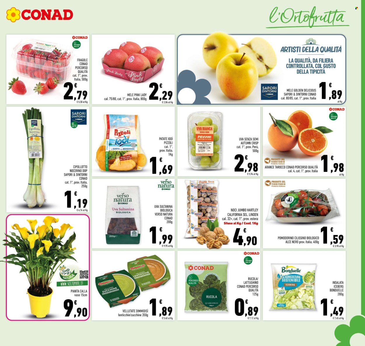 Volantino Conad - 11/2/2026 - 22/2/2026. Pagina 5