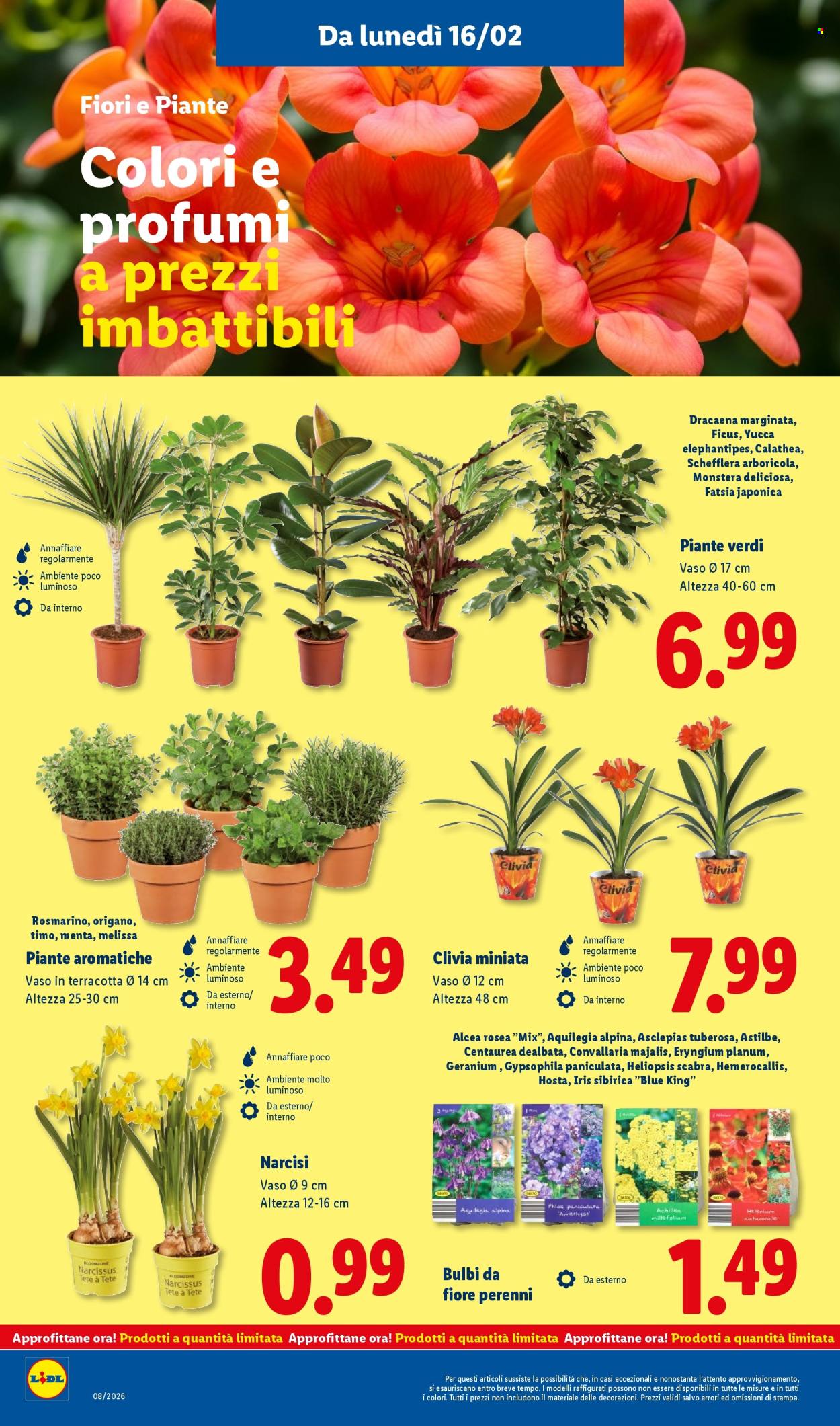 Volantino Lidl - 16/2/2026 - 22/2/2026. Pagina 46