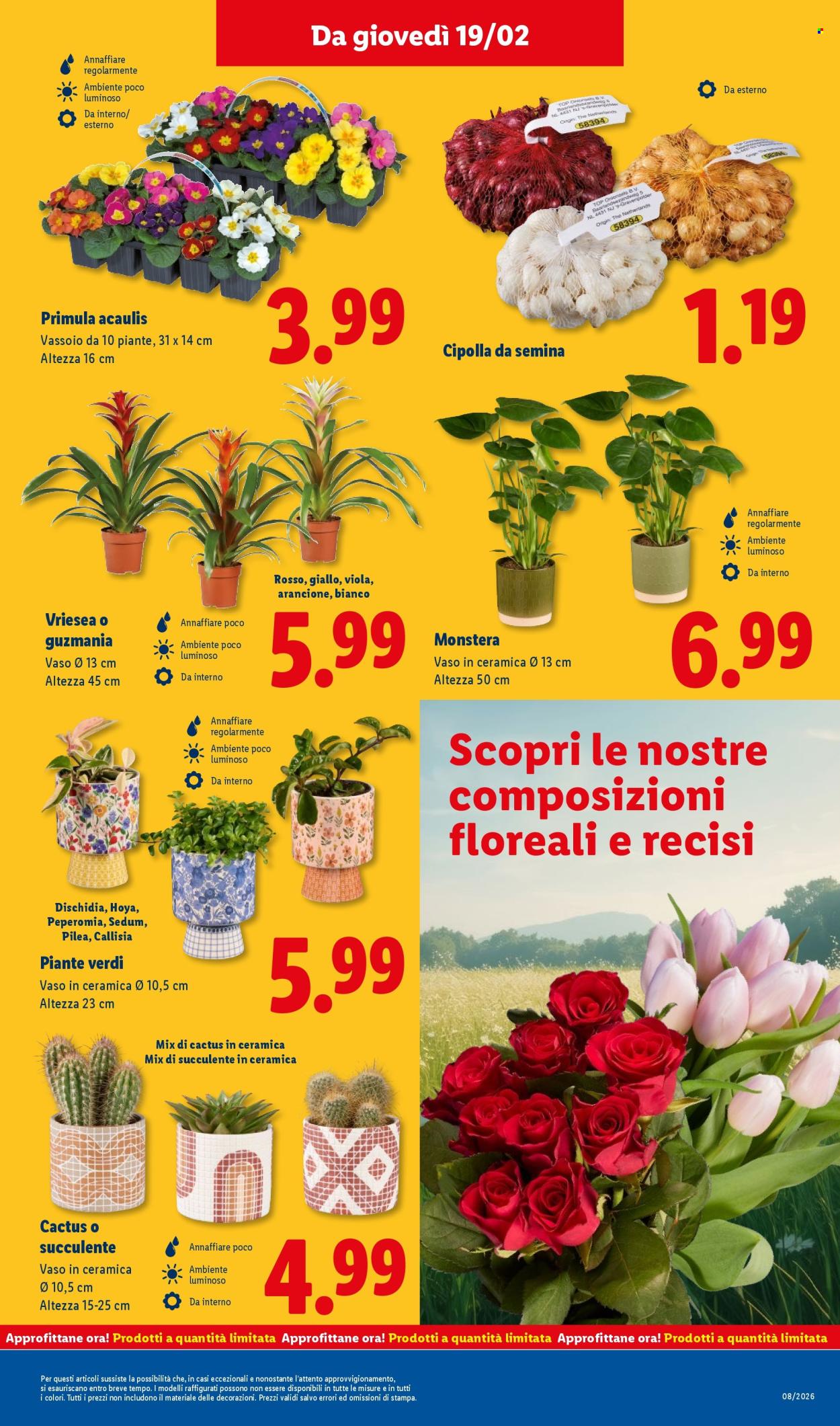 Volantino Lidl - 16/2/2026 - 22/2/2026. Pagina 47