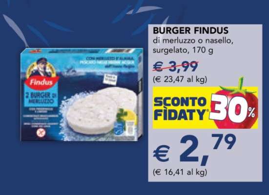 BURGER FINDUS