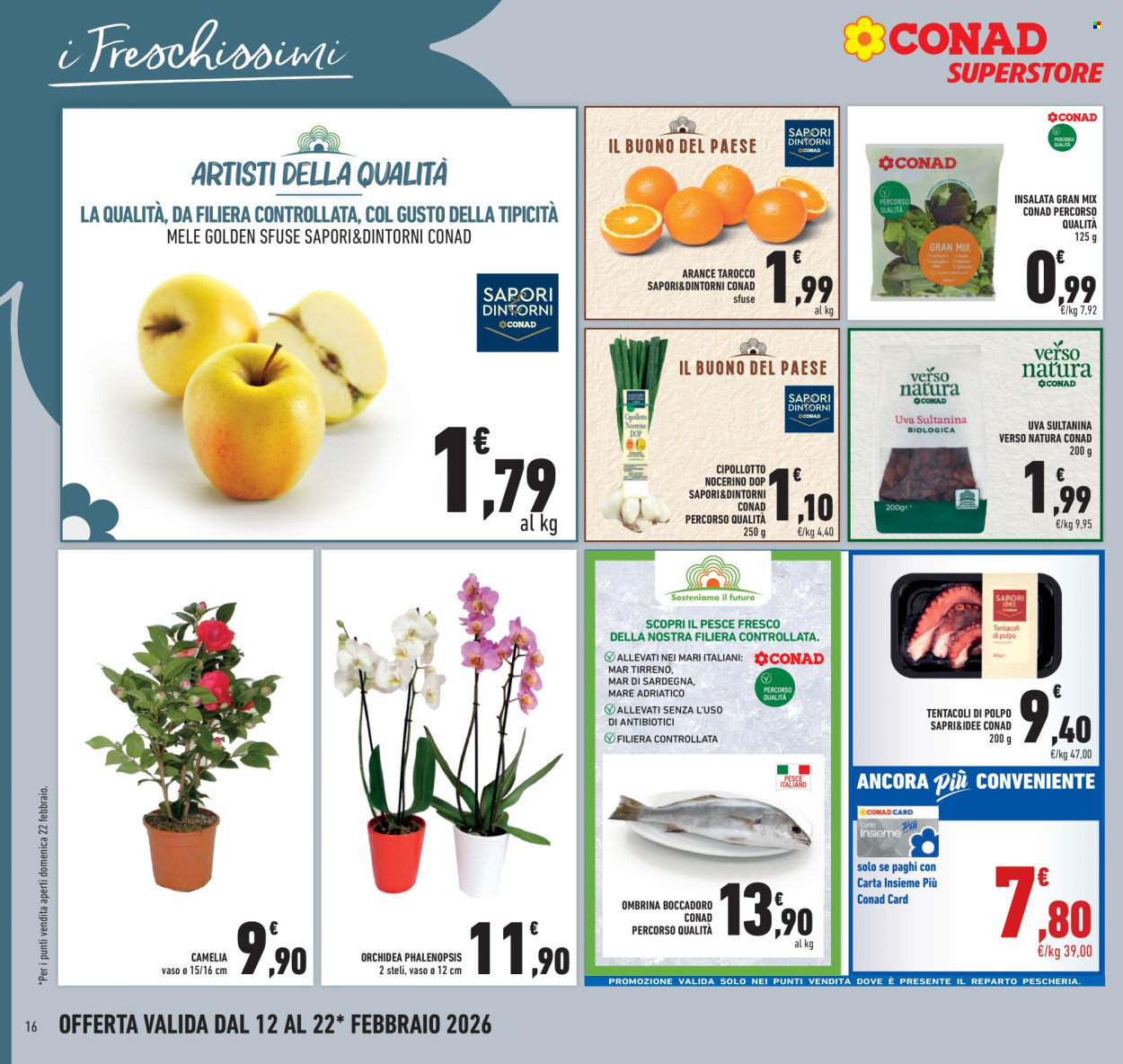 Volantino Conad Superstore - 12/2/2026 - 22/2/2026. Pagina 16
