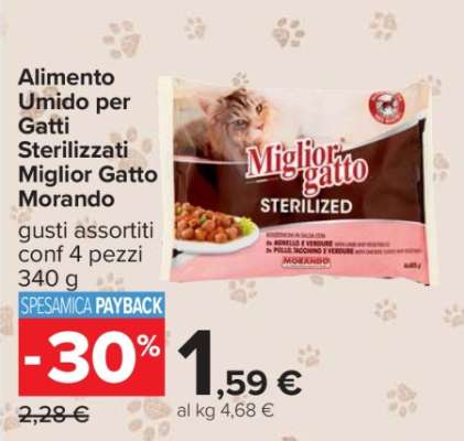 Miglior Gatto Sterilized