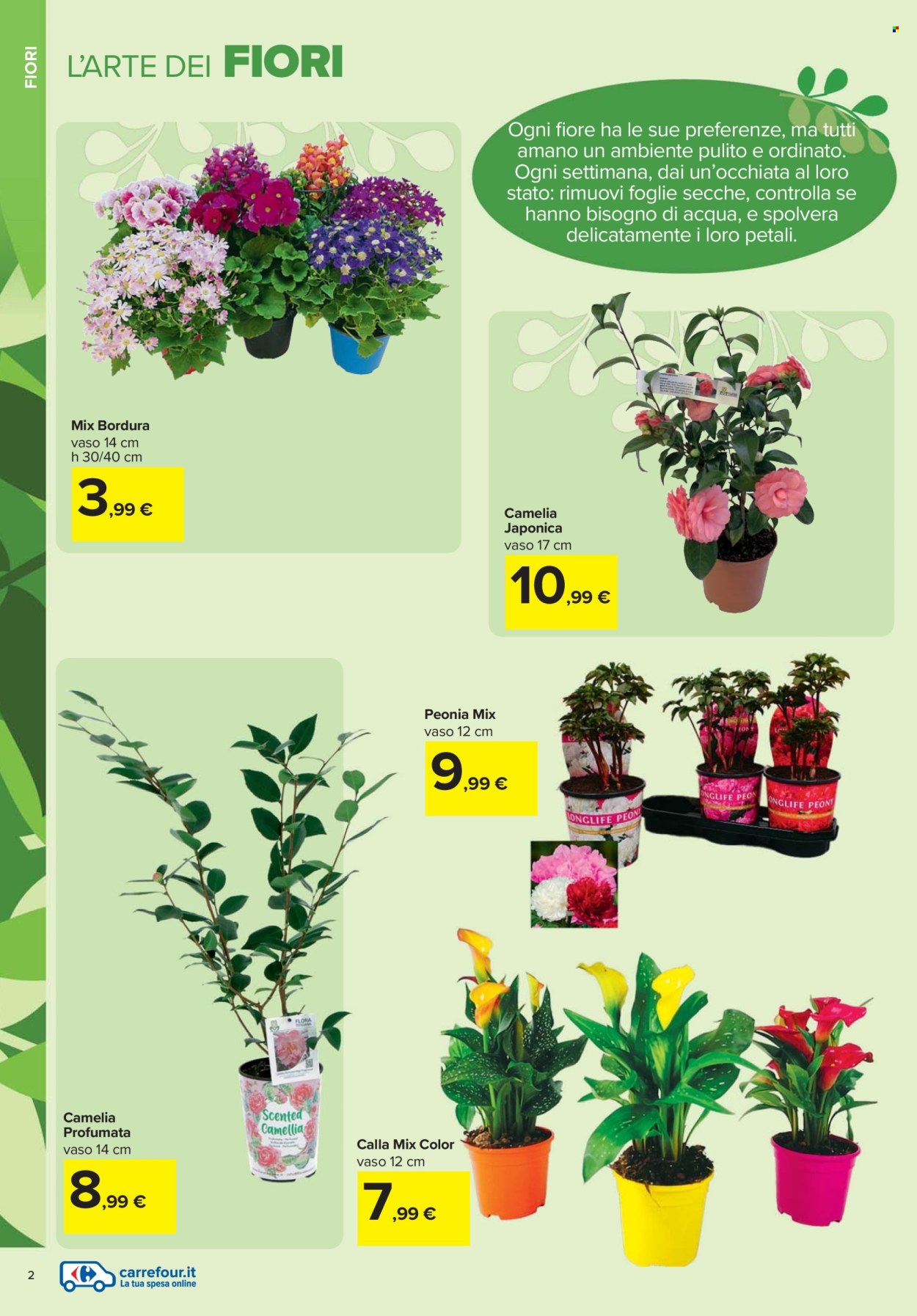 Volantino Carrefour - 19/2/2026 - 6/4/2026. Pagina 2