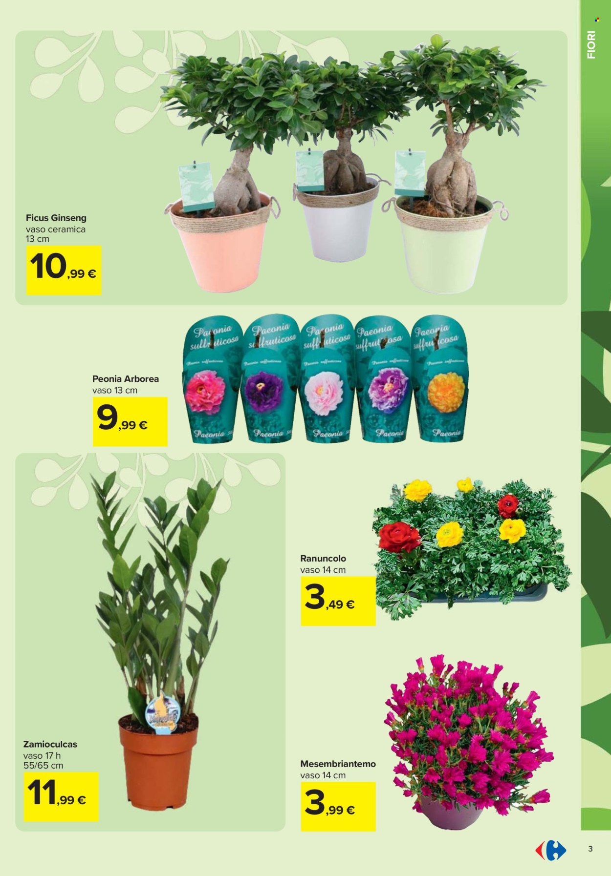 Volantino Carrefour - 19/2/2026 - 6/4/2026. Pagina 3