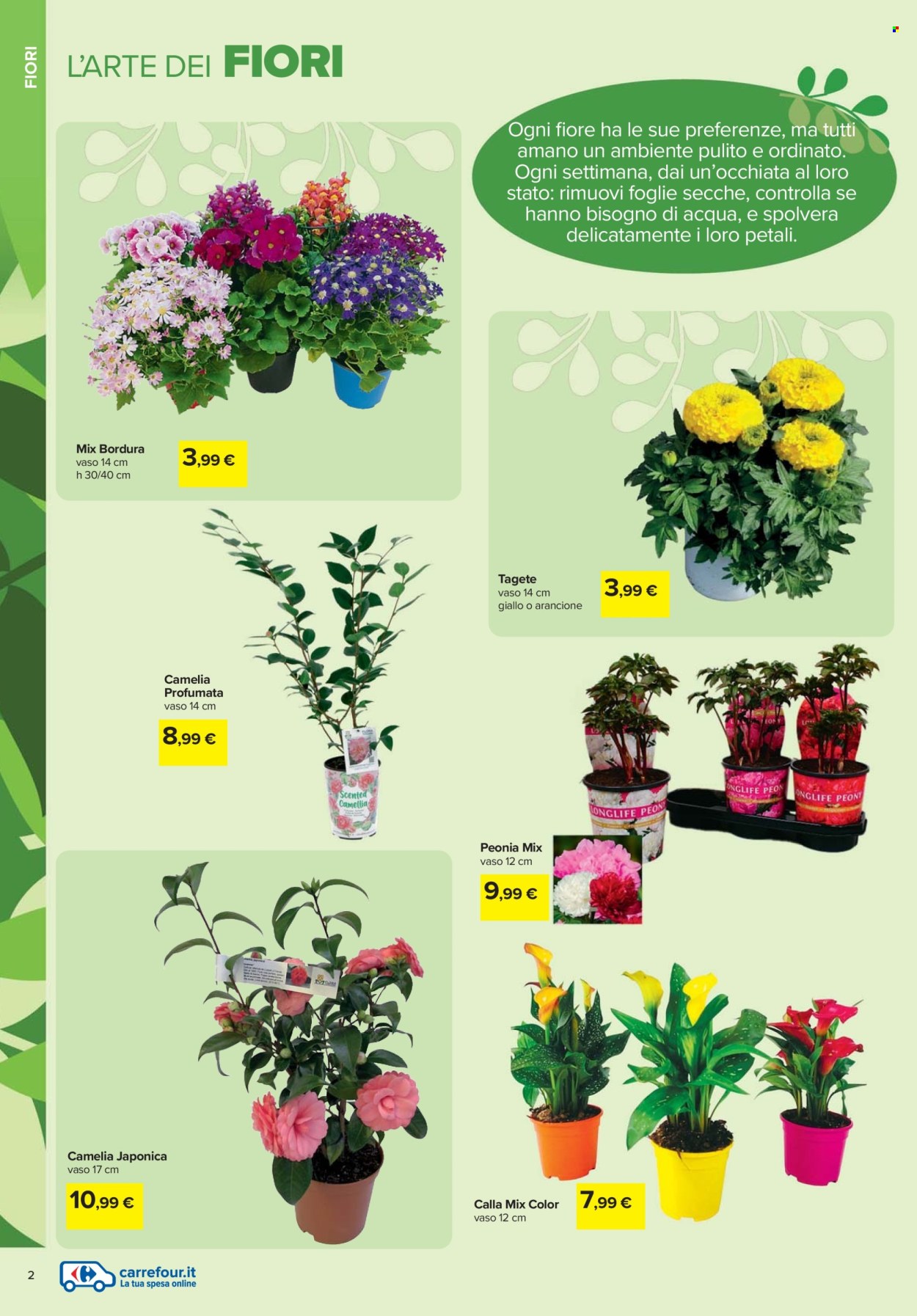 Volantino Carrefour - 19/2/2026 - 6/4/2026. Pagina 2