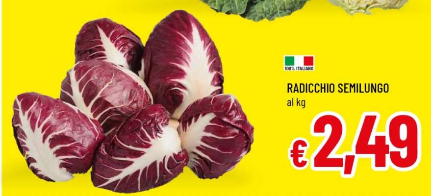 Radicchio Semilungo