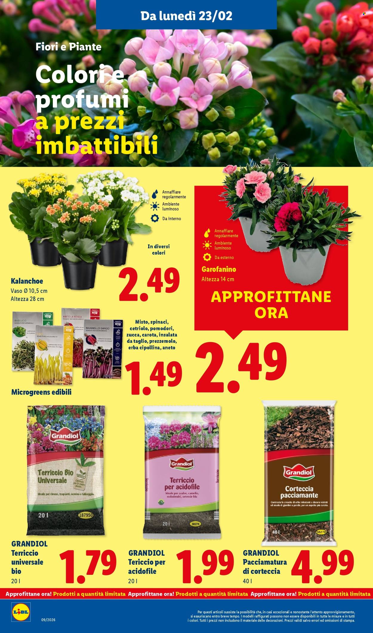 Volantino Lidl - 23/2/2026 - 1/3/2026. Pagina 36