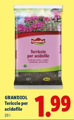 Grandiol Terriccio per acidofile