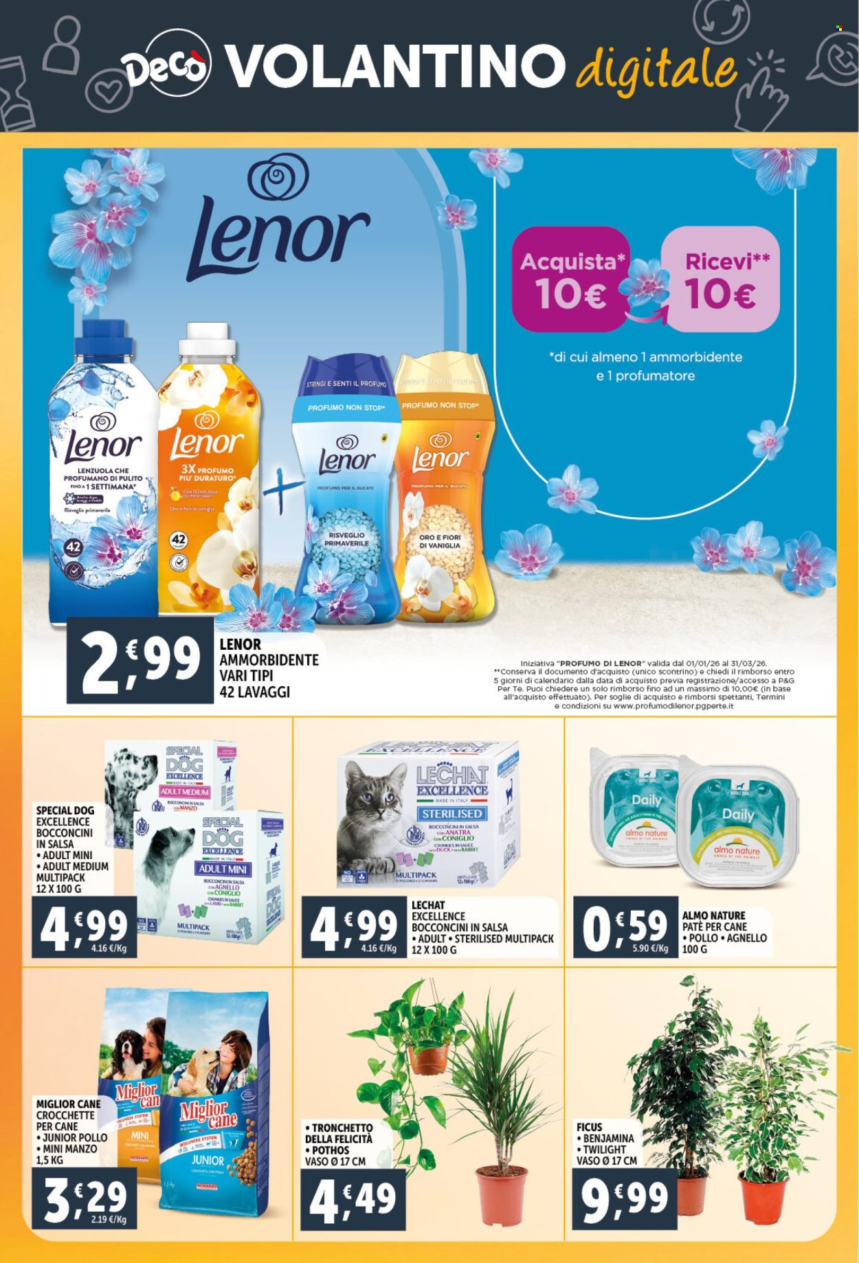 Volantino Deco - 23/2/2026 - 5/3/2026. Pagina 31