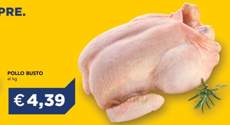 Pollo Busto