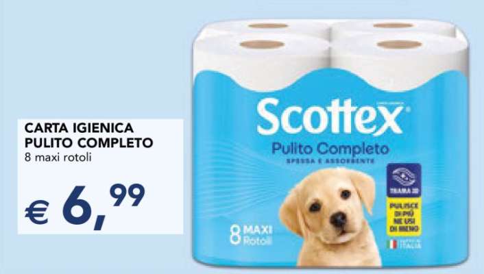 Scottex Pulito Completo