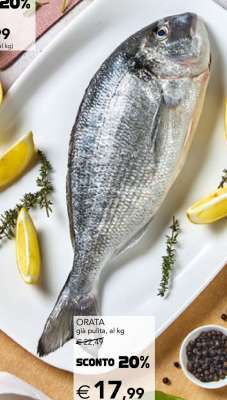 Orata