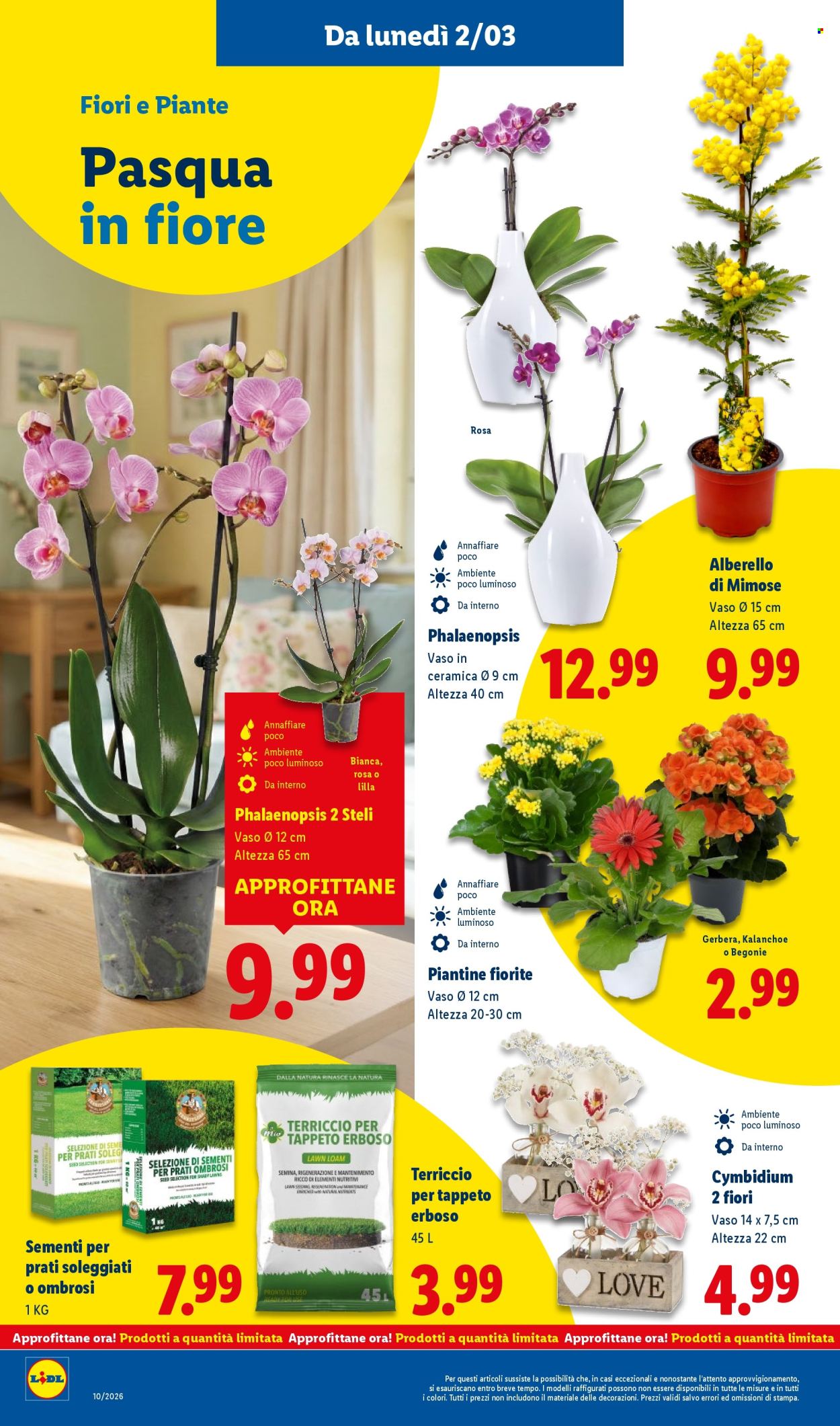 Volantino Lidl - 2/3/2026 - 8/3/2026. Pagina 40