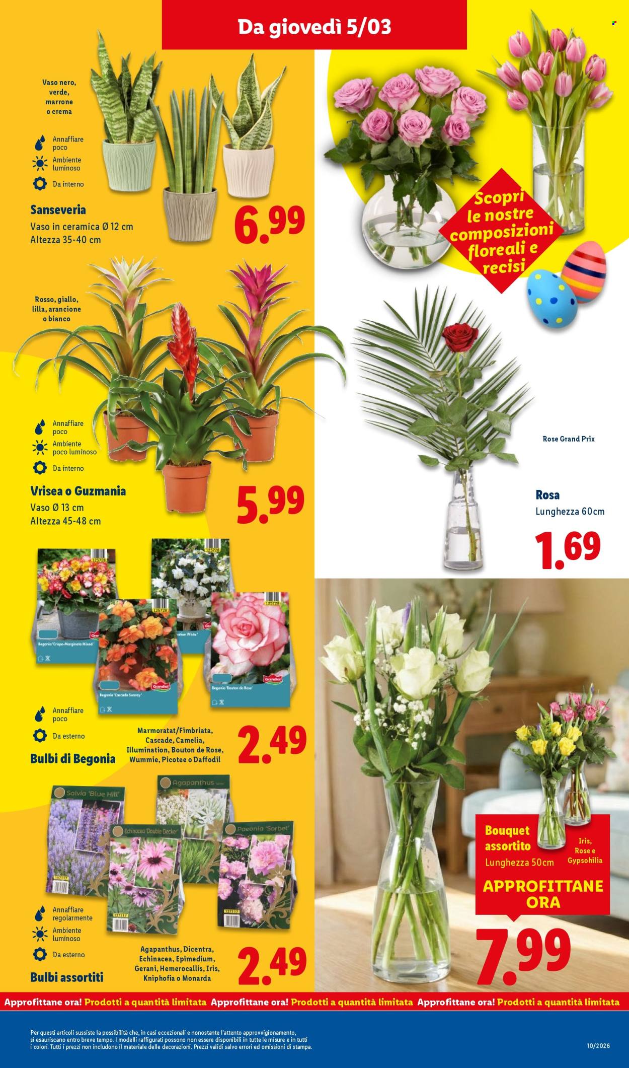 Volantino Lidl - 2/3/2026 - 8/3/2026. Pagina 41