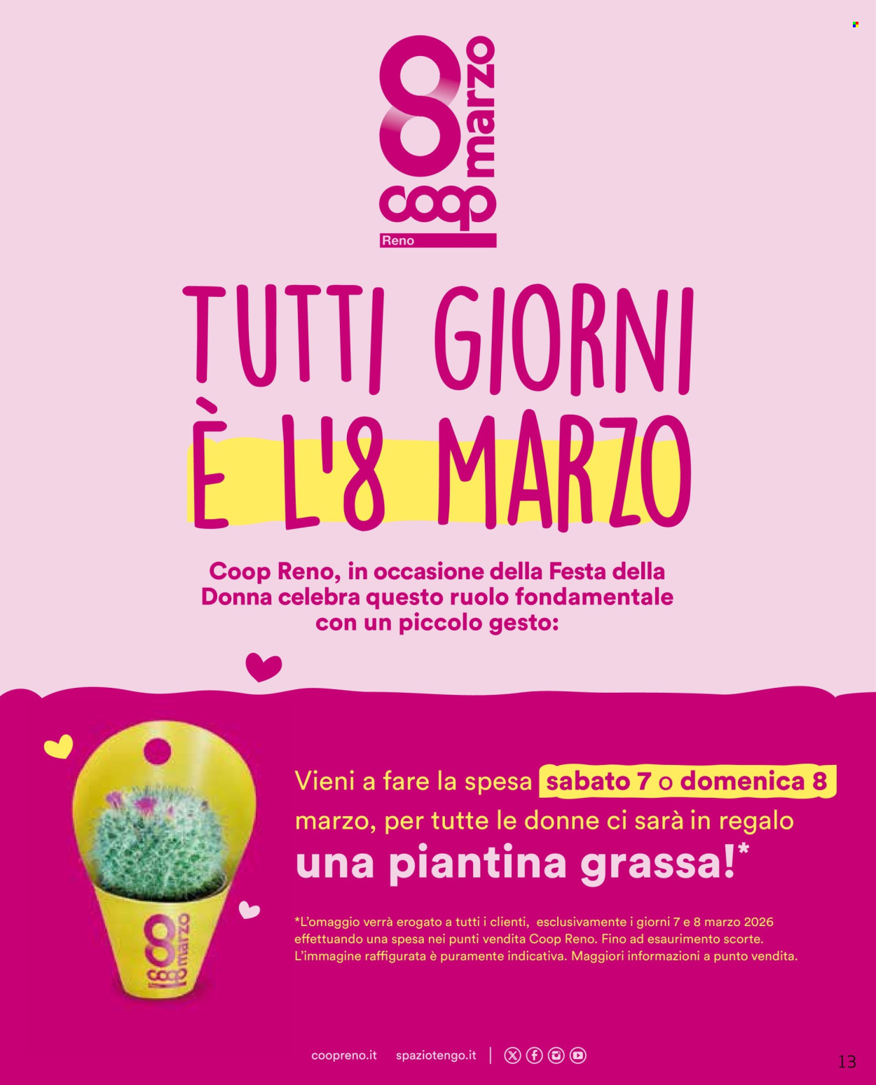 Volantino Coop - 26/2/2026 - 11/3/2026. Pagina 13
