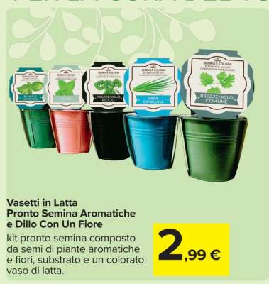 Vasetti in Latta Pronto Semina Aromatiche e Dillo Con Un Fiore