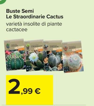 Buste Semi Le Straordinarie Cactus