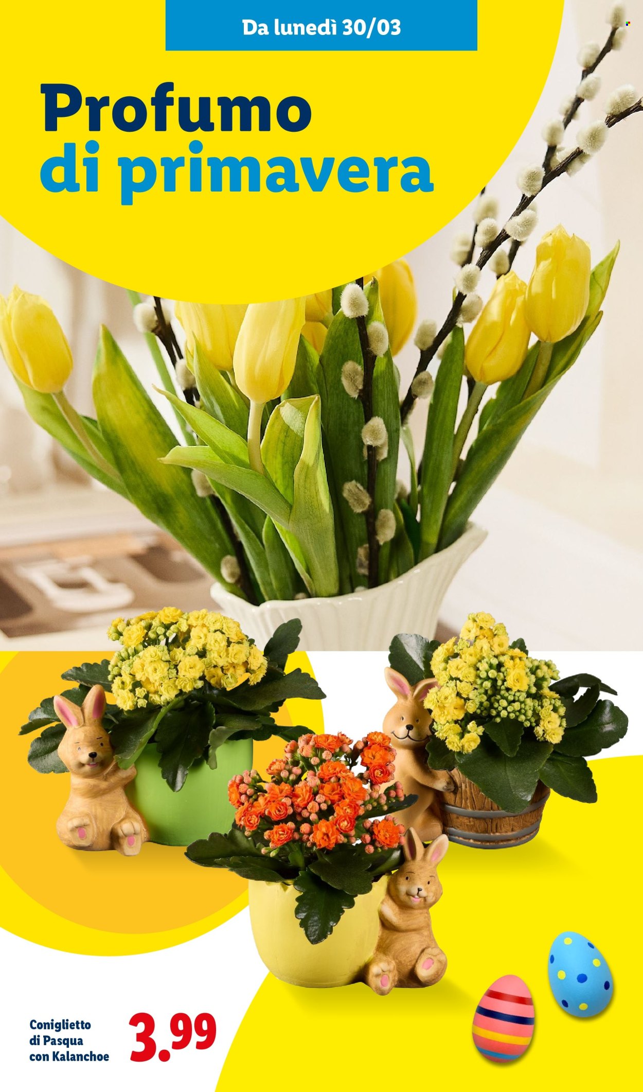 Volantino Lidl - 2/3/2026 - 5/4/2026. Pagina 45