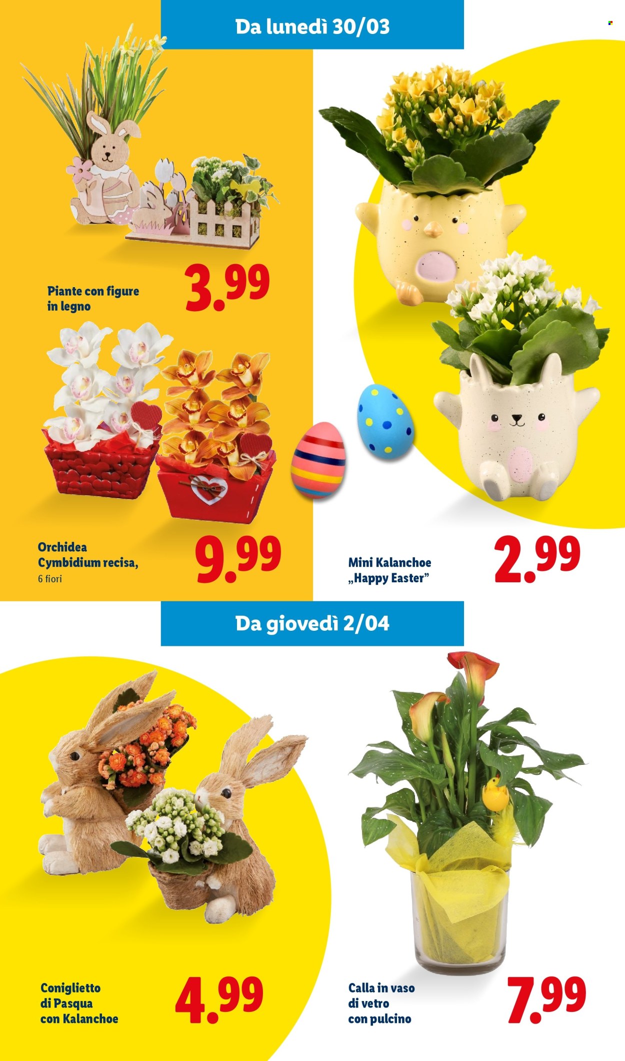 Volantino Lidl - 2/3/2026 - 5/4/2026. Pagina 46