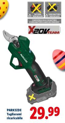 PARKSIDE Tagliarami ricaricabile